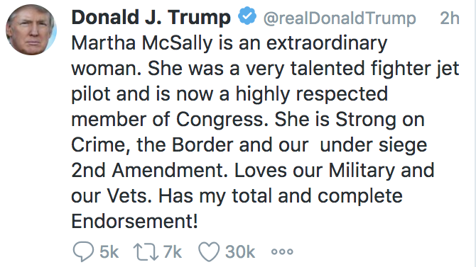In tweeted endorsement, Trump calls McSally “extraordinary woman"